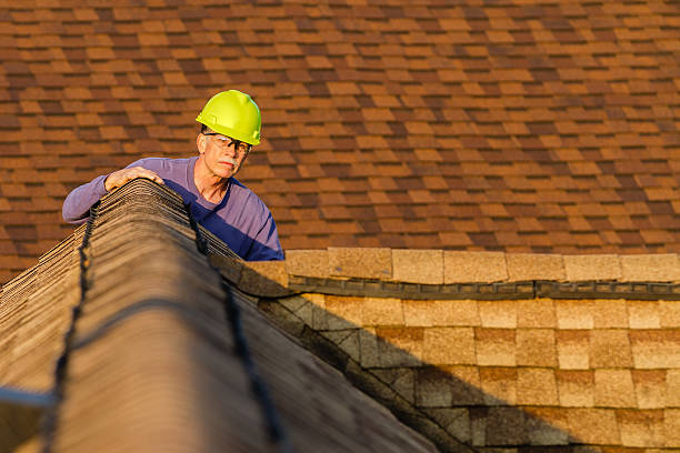 Roof Gutter Cleaning in Lake Andes, SD